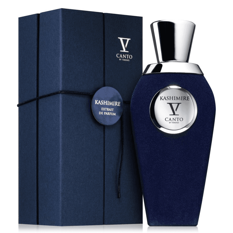 EDP V CANTO 100 ML - KASHIMIRE