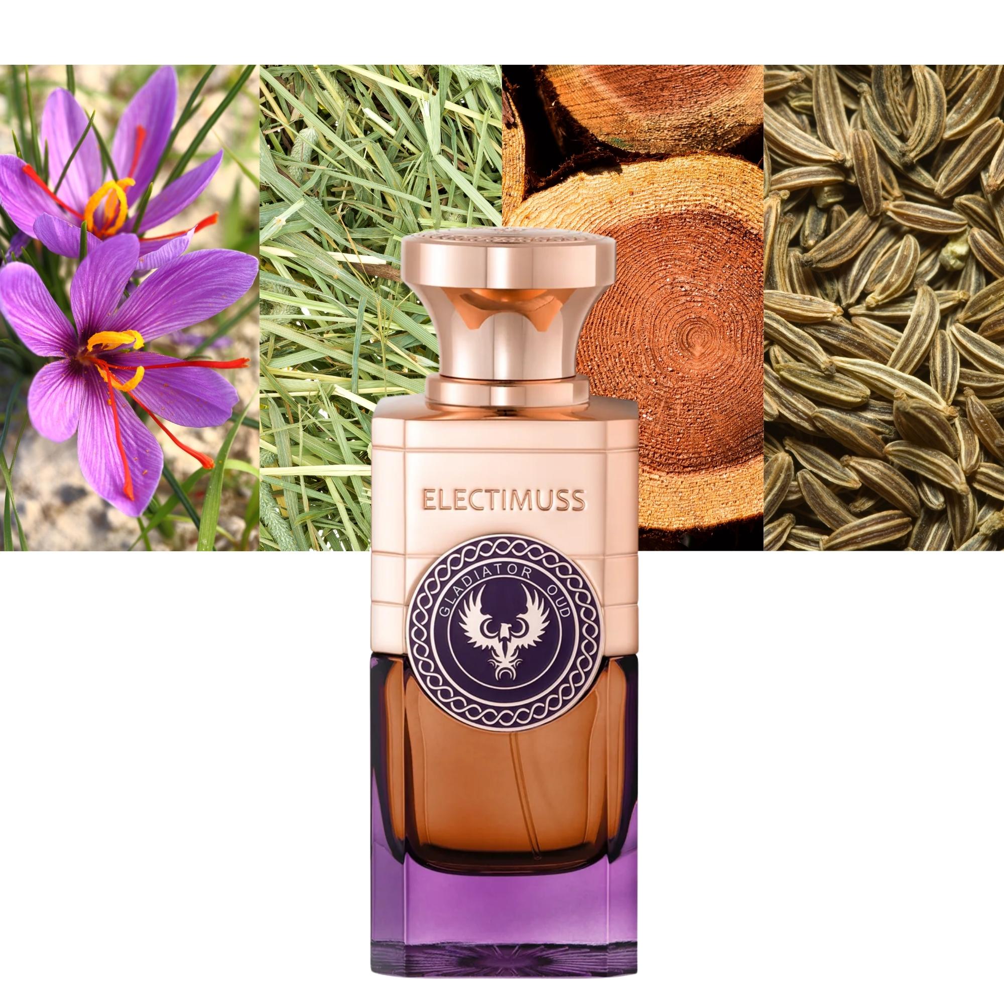 ELECTIMUSS Gladiator Oud